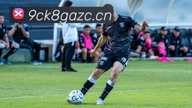 App Interface Preview