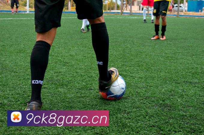 星空体育首页官方网站APP 封面图